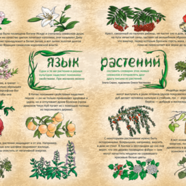 Язык растений