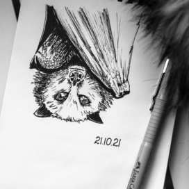 Летучая лисица