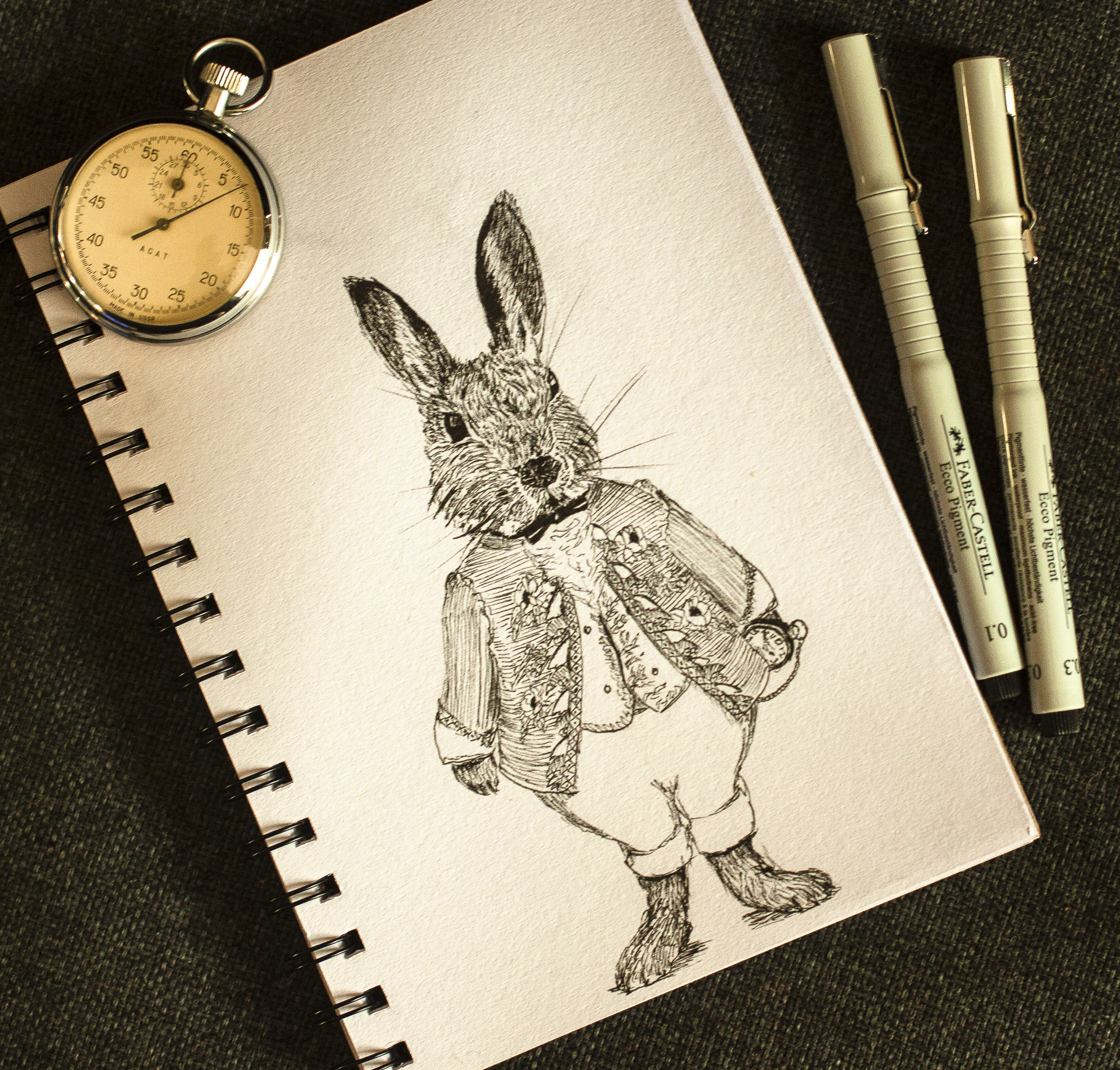 Опаздывающий кролик