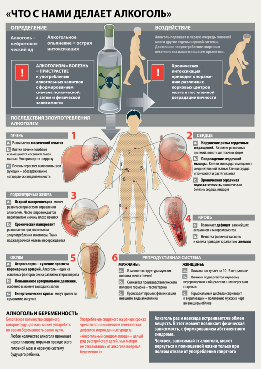 Последствия длительного употребления. Алкоголь и организм человека.