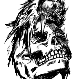 Череп с вороном