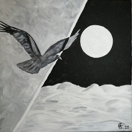 Белые долины