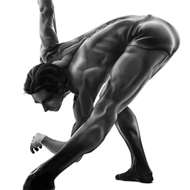 Черный лебедь.