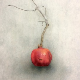 Ветка с гранатом