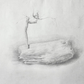 Сырые останки