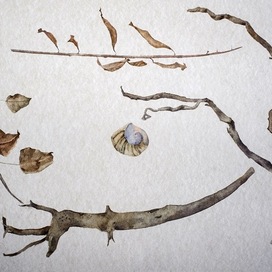 «Мёртвый натюрморт»