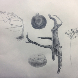 Космогония распада