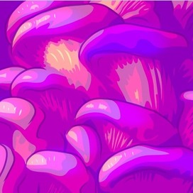 mushrooms