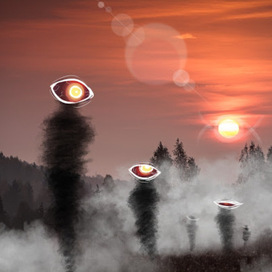 Наблюдатели