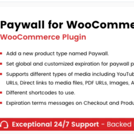 Features of Woocommerce Paywall Plugin You Must Read