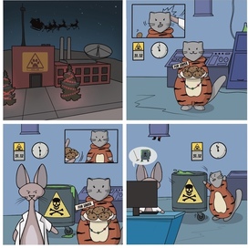 Cat Lab 1