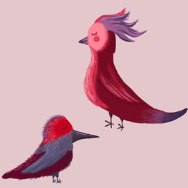 Птички