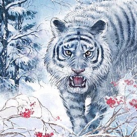 Год Белого Тигра
