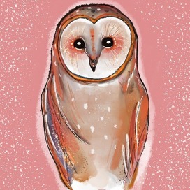 Winter owl