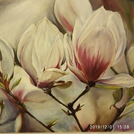 Магнолия