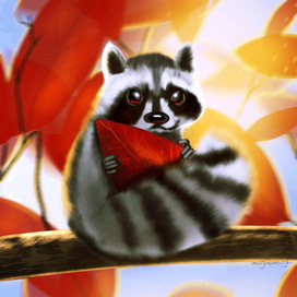 Raccoon 