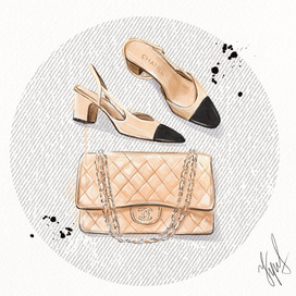 Иллюстрация сумки и обуви