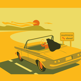 girl in the convertible