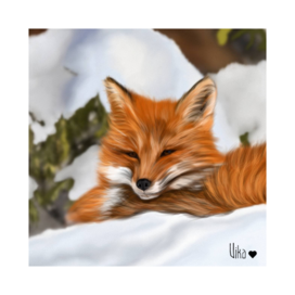 Лиса отдыхает