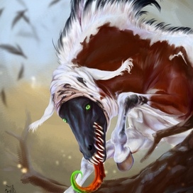 Attu, beautiful Sookazu