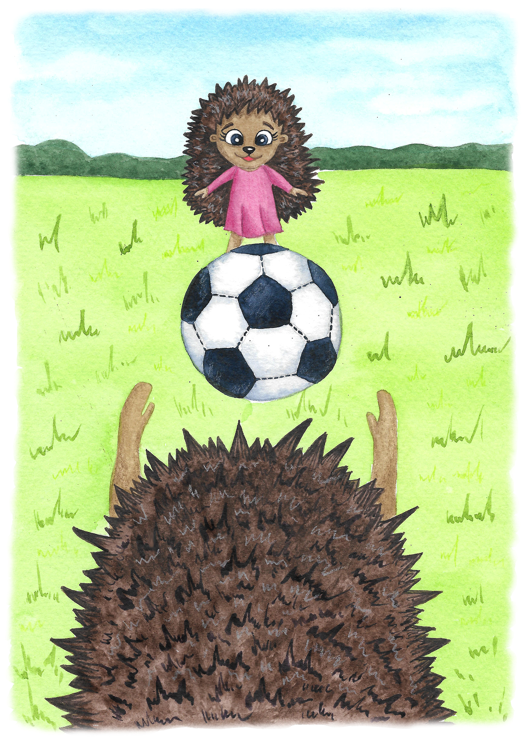 Ежики и мяч