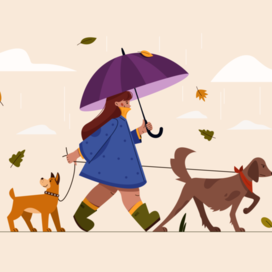 Girl walking with dogs