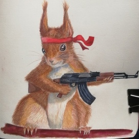 Белка из сна