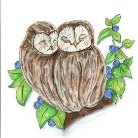 Owls in love