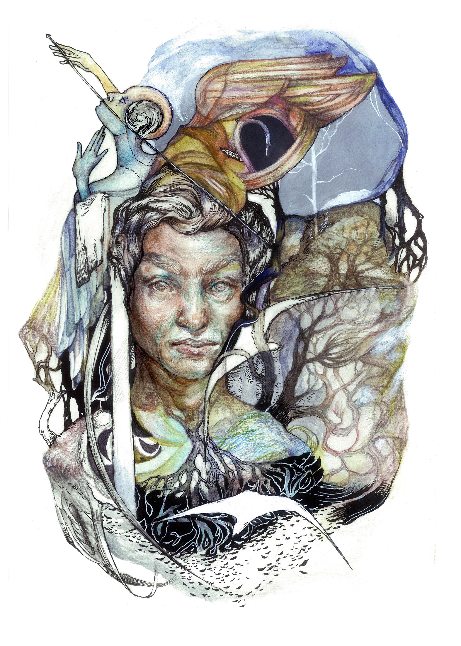 Иллюстрация Лес в стиле книжная графика | Illustrators.ru