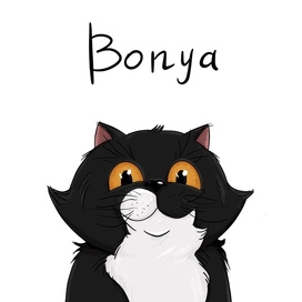Кот Bonya