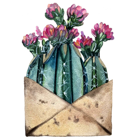 Цветущие кактусы в конверте