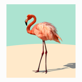 vector illustration of a flamingo