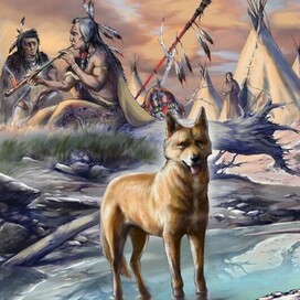 Иллюстрация для календаря. Американская индейская собака.