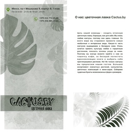 Фрагмент брошюры 