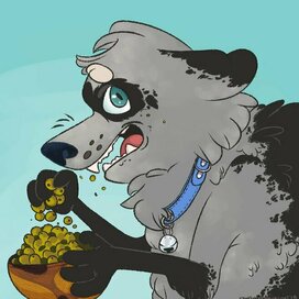 Raccoon Eating Olives