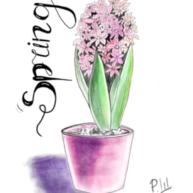 Hyacinth