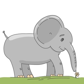 Слоненок и цветок