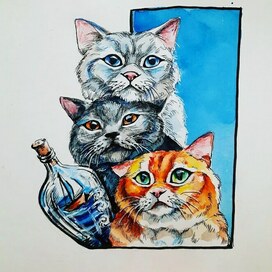 Три кота
