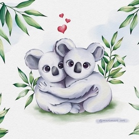 Влюблённые коалы