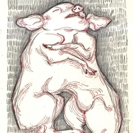 лучше бы ты не рождалась 