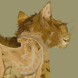 только вышло по-другому 