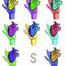 Сердце / heart organ