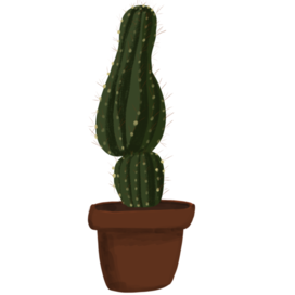 Cactus