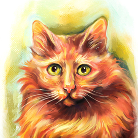 Кошка из приюта для благотворительных открыток