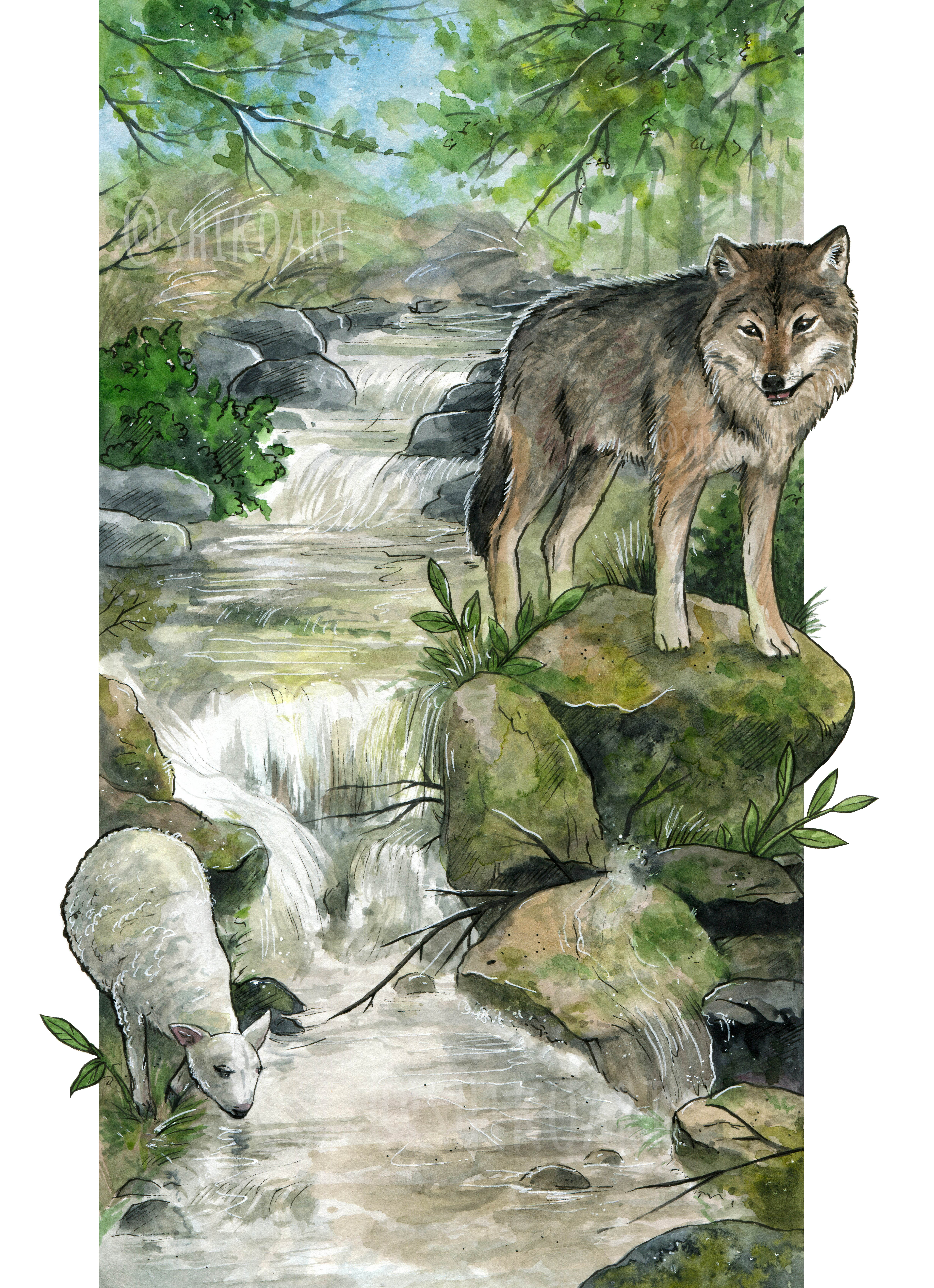 Волк и ягненок иллюстрация