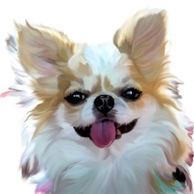 Рисунок собаки породы чихуахуа по фотографии