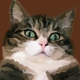 Рисунок кота по фотографии заказчика 500 руб.