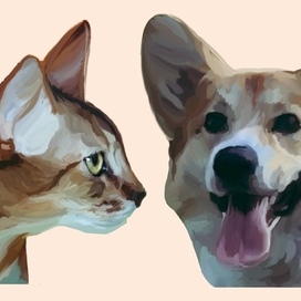 Рисунок собаки и кота по фотографии заказчика