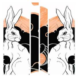 Белый заяц/white hare