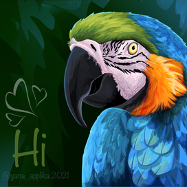 Попугай Ара. Портрет